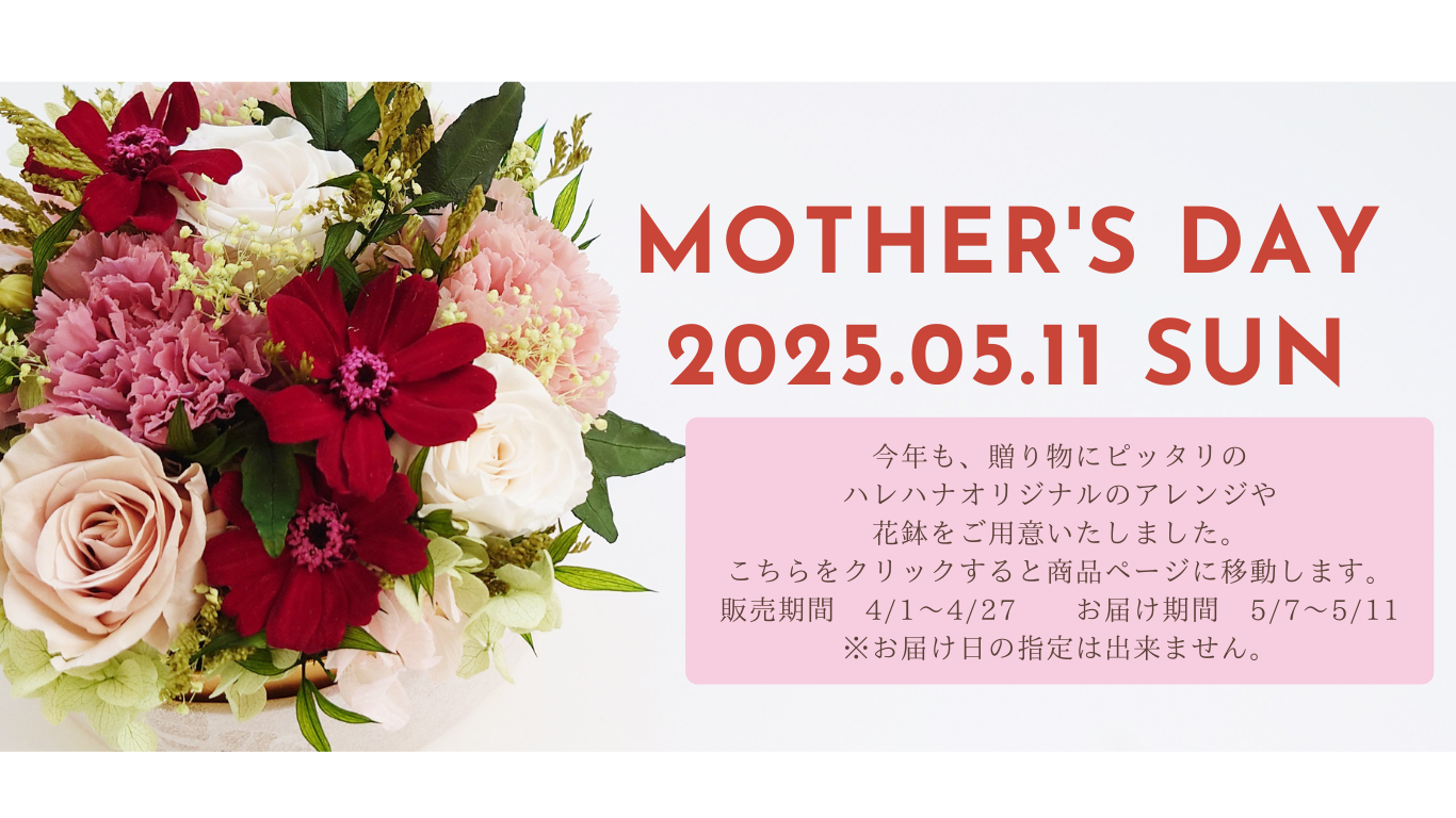 ハレハナプランツプラスオンラインショップ ハレハナプランツプラスオンラインショップ